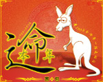 2008本命年