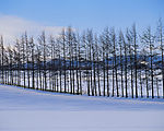 冬天雪景