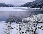 冬天雪景
