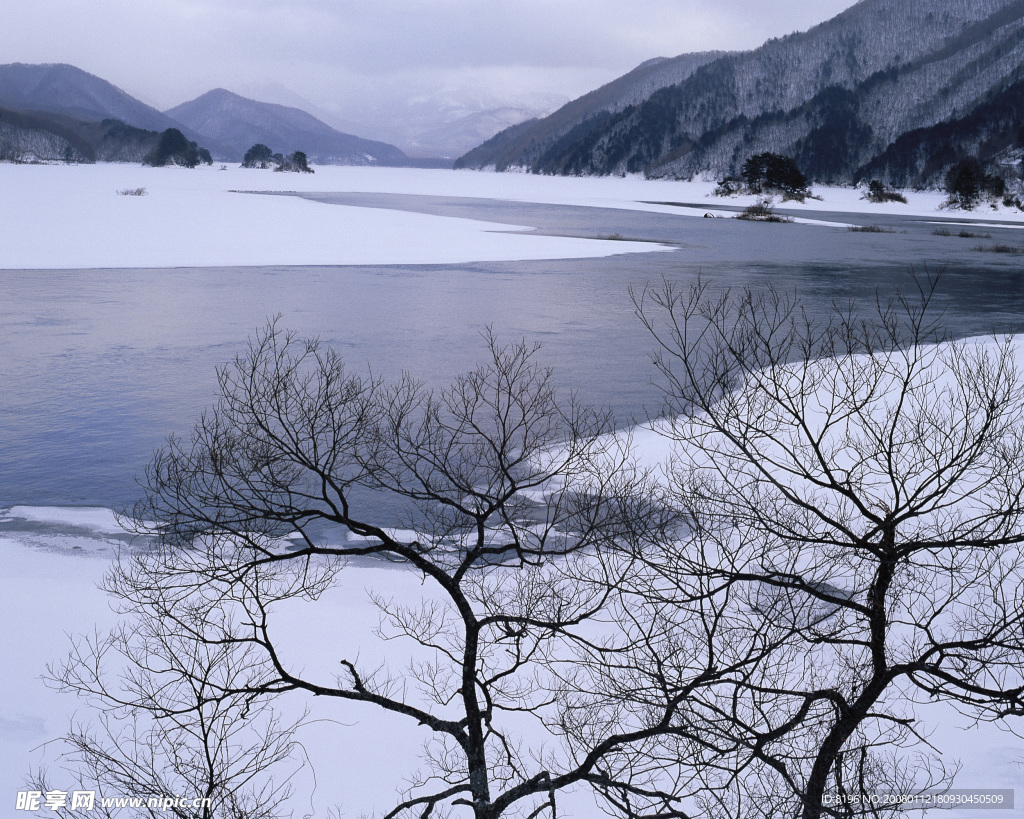 冬天雪景