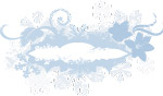 冬季花纹banner