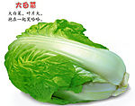 儿童认水果蔬菜