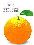 儿童认水果蔬菜