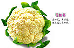 儿童认水果蔬菜