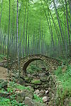 竹林石桥２