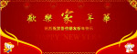 欢乐家年华