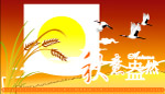 2008年POP海报图片
