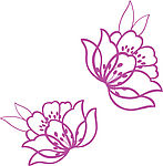 韩国花纹III·植物 flower（44幅）