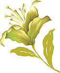 韩国花纹III·植物 flower（44幅）