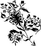 韩国花纹III·植物 flower（44幅）