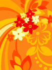 时尚花纹60