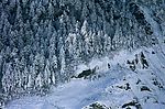 冬天雪景