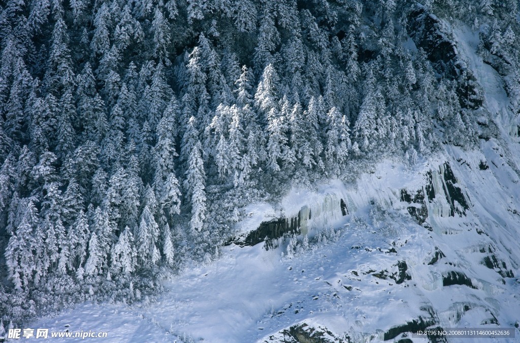 冬天雪景