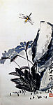 蜻蜓花卉