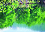 山水