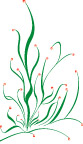 精美时尚花纹花边