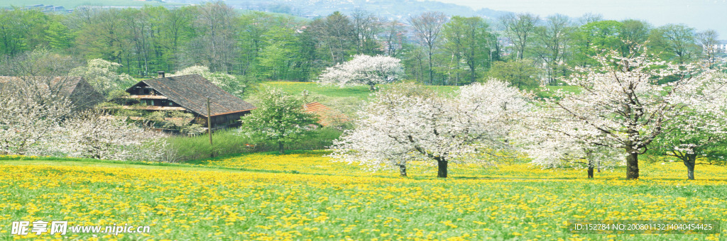 田园风光