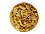 金龙