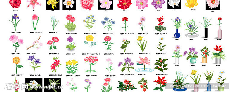 植物花卉元素矢量素材
