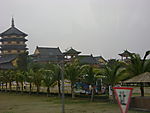 古塔 草地