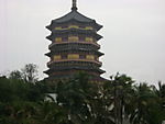 古塔 草地