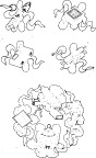 中国传统图案3