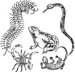中国传统图案10