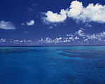 大海