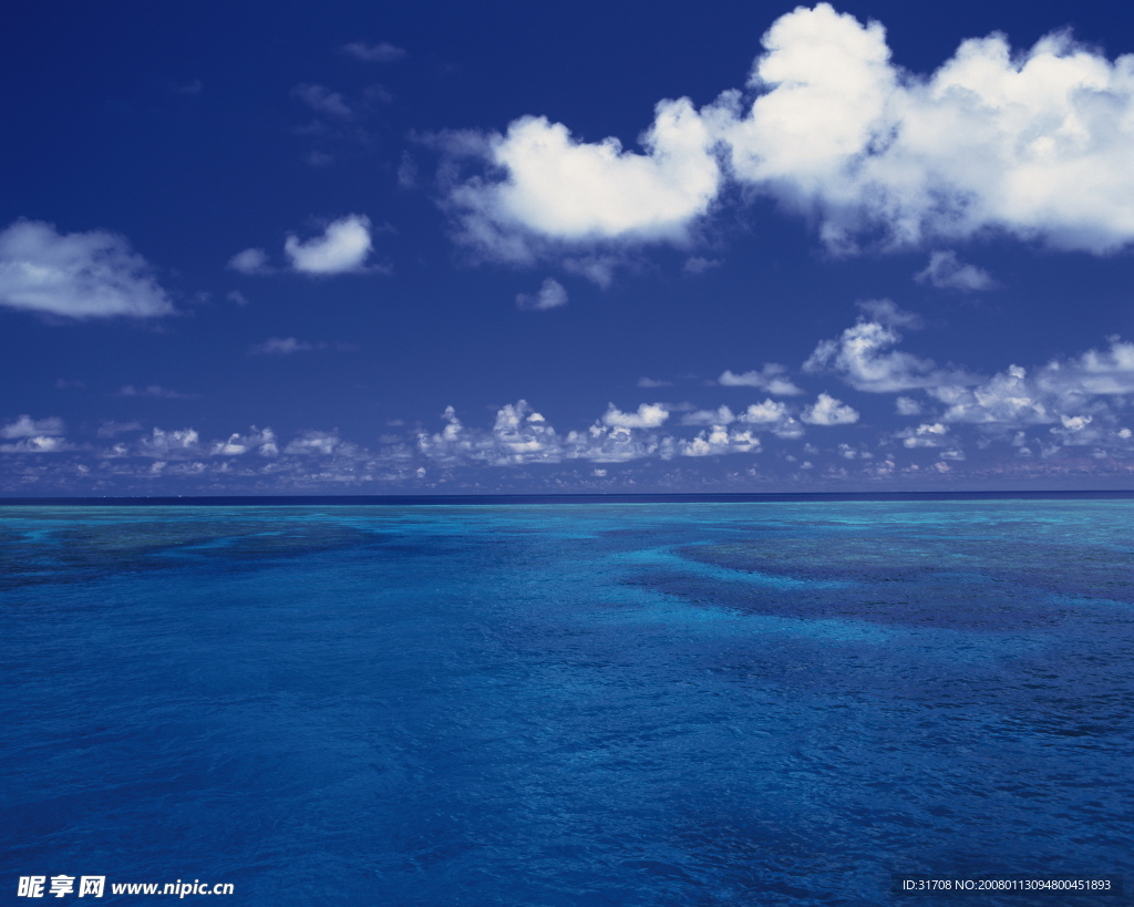 大海