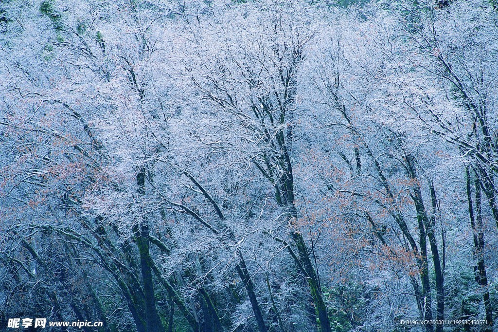 冬天雪景