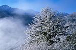 冬天雪景
