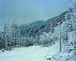 冬天雪景