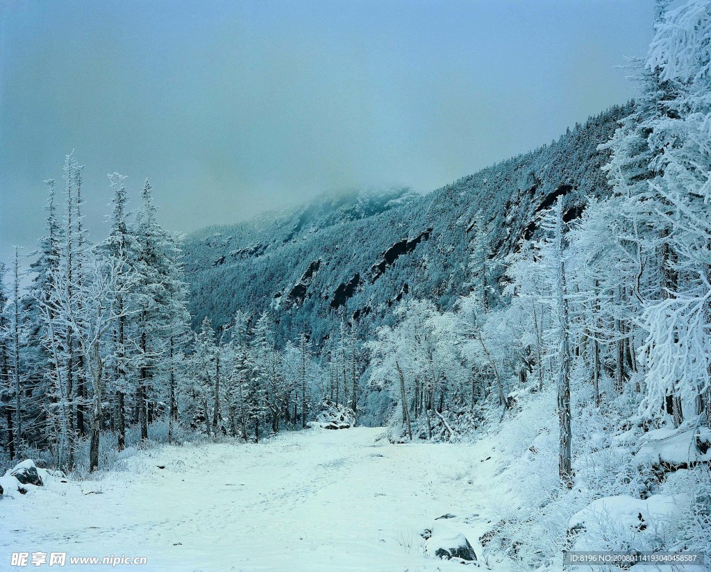 冬天雪景