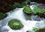 山水风景42
