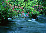 山水风景48