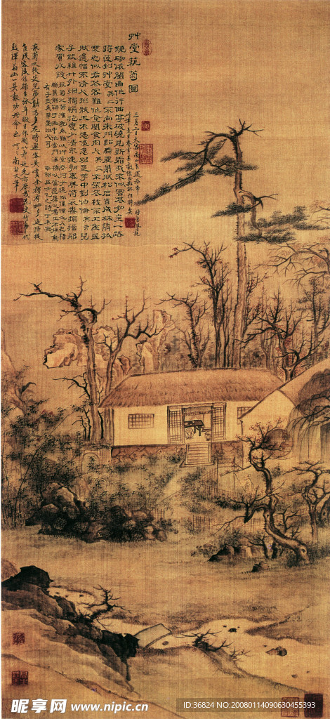 草堂艺菊图