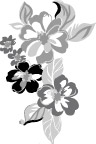 花边