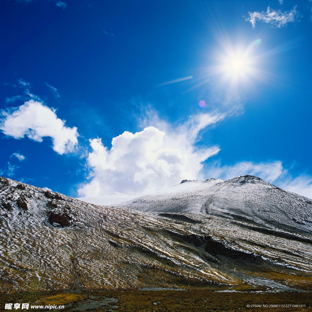 风景