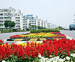 苏州市相城区社区道路绿化
