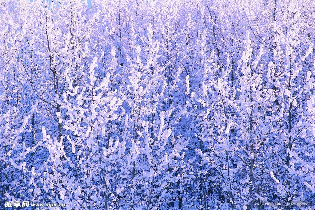 冬天雪景
