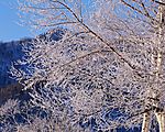 冬天雪景