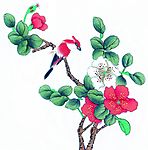 水彩5