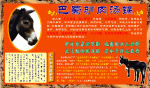 巴蜀驴肉店招