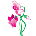 花卉