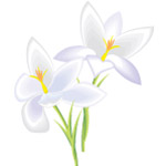 花卉