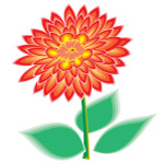 花卉