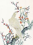 鸟类