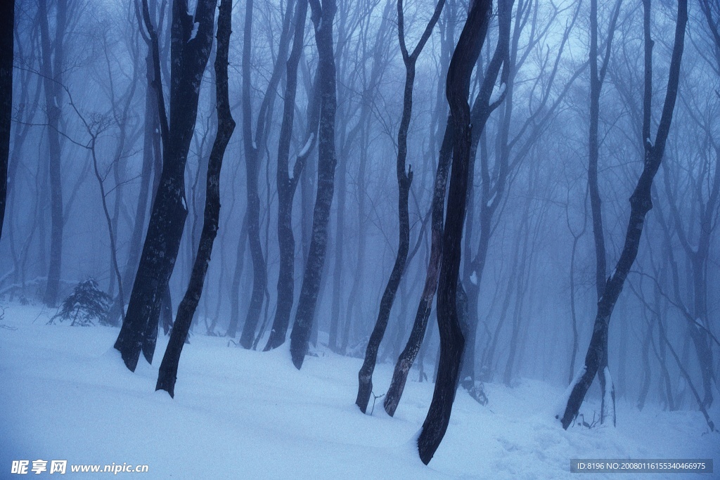 冬天雪景