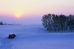 雪域