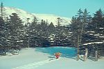 冬天雪景